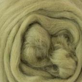 Extra Fine Merino Wooltops - Asparagus 50g