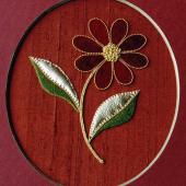 Beginners Daisy by Alison Cole