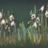 Snowdrops with Catherine Howell