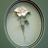 Champagne Rose by Jennifer Bennett