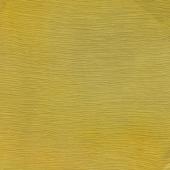 25 Umbrian Gold