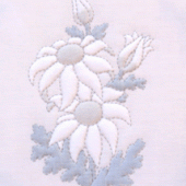 The Flannel Flower The Flannel Flower