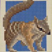 Numbat - Patterns by Jill Oxton