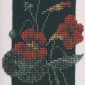 Nasturtiums - Patterns by Jill Oxton