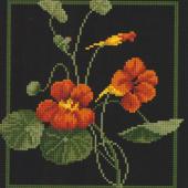 Large Nasturtiums - Patterns by Jill Oxton