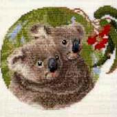 Koalas - Patterns by Jill Oxton