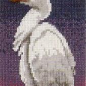 Cattle Egret - Patterns by Jill Oxton