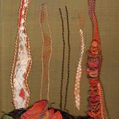 Fungi with Jan Pilgrim