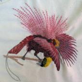 Birds of Paradise with Nikki Delport-Wepener