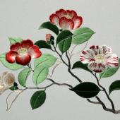 Chinese Embroidery with Margaret Lee