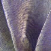 Gold & Purple Gold & Purple