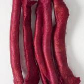 Silk Carrier Rods 1