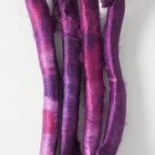 Silk Carrier Rods 18 - Out of Stock