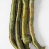 Silk Carrier Rods 7 - Out of Stock