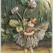 White Clover Flower Fairy White Clover Flower Fairy