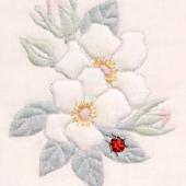 Winter Rose