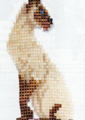 Please click on image to view more details Jill Oxtons Cross Stitch and Bead Weaving available from Australian Needle Arts