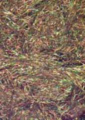Angelina Fibre available at Australian Needle Arts