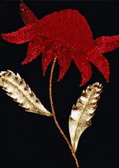 Australian Waratah with Alison Cole