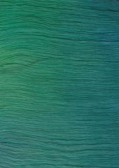 Crinkle Silk Chiffon Verde by Colour Streams