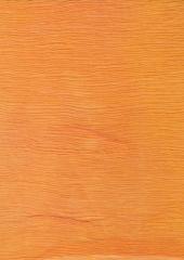 20 Nasturtium by Colour Streams