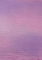 Musk Rose 30cm x 26cm