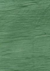 Crinkle Silk Chiffon 30 Eucalypt by Colour Streams