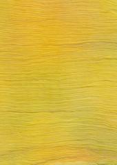 Straw Crinkle Silk Chiffon by Colour Streams