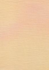 Apricot Blush 30cm x 26cm