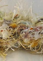 Felting Supplies available from Australian Needle Arts