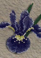 Jill Oxton's Cross Stitch & Bead Weaving available from Australian Needle Arts