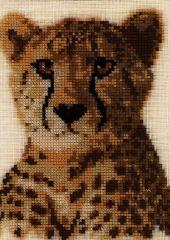 Jill Oxton's Cross Stitch & Bead Weaving available from Australian Needle Arts