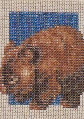 Jill Oxton's Cross Stitch & Beading