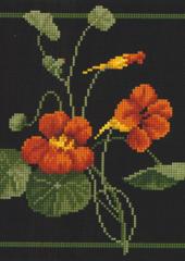 Jill Oxton's Cross Stitch & Beading