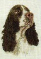 Please click on this image to view more details and larger picture Issue 61 - Jill Oxton's Cross Stitch & Beading