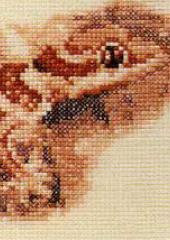Jill Oxton's Cross Stitch & Beading