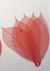 Skeleton Leaves available at Australian Needle Arts