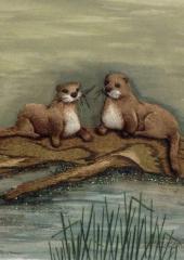 Please click on image to view more details Otter Bliss by Susan Porter available at Australian Needle Arts