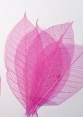 Skeleton Leaves available at Australian Needle Arts