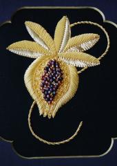 Pomegranate by Alison Cole