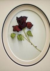 Please click image for larger view and details Red Rose by Jennifer Bennett