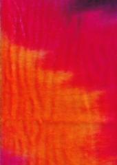Carnivale 30cm x 28cm