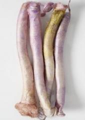 Silk Carrier Rods available from Australian Needle Arts