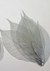 Skeleton Leaves available at Australian Needle Arts