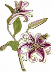 Stargazer Lily by Irene Junkuhn available from Australian Needle Arts