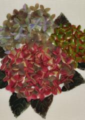 Autumn Hydrangea by Jennifer Bennett